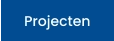 Projecten